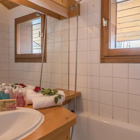 Apartment Cosy Avec Vue Mont-blanc, Parking, Animaux Acceptes - Fr-1-517-26 *