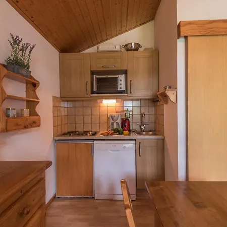 Apartment Cosy Avec Vue Mont-blanc, Parking, Animaux Acceptes - Fr-1-517-26 Chamonix