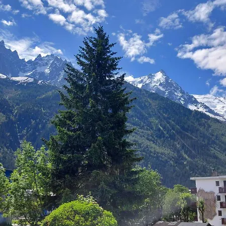 Appartement 2 Pièces à Chamonix, Vue Mont-blanc, Animaux Admis, Parking - Fr-1-517-26