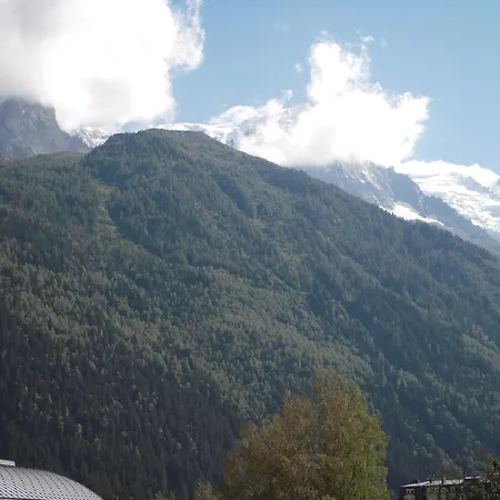 2 Pièces à Chamonix, Vue Mont-blanc, Animaux Admis, Parking - Fr-1-517-26 Appartement